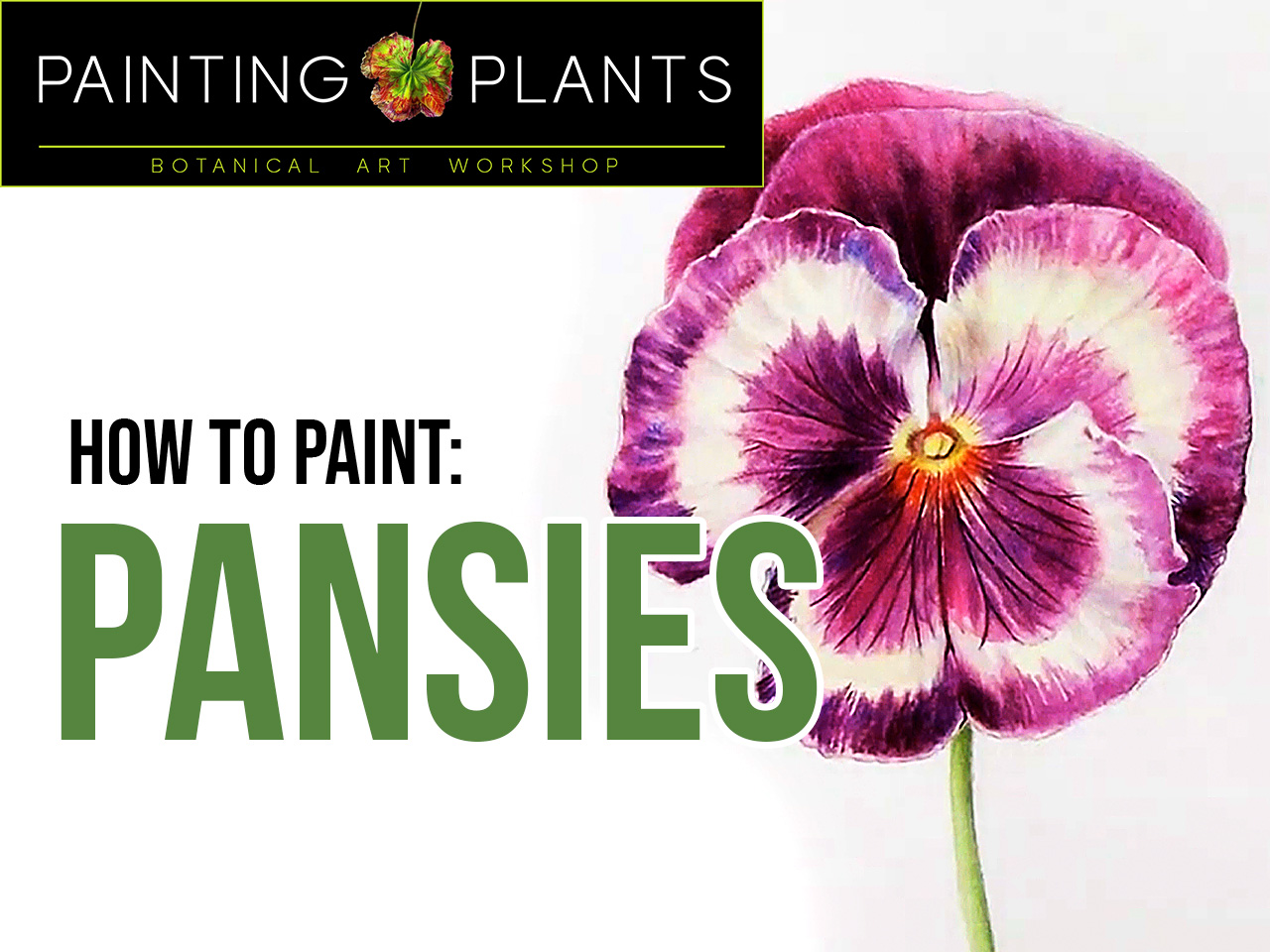Painting Pansies